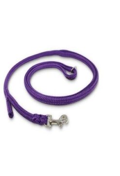 Dino Laisse poly. avec Easy-Locking système, lila