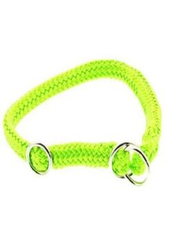 Dino Collier/étrang. Poly., neon-vert