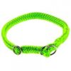 Dino Halsband, neon-grün