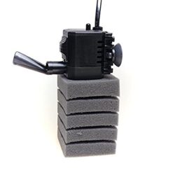 Alternative view of PAT MINI FILTER + extra Schwamm