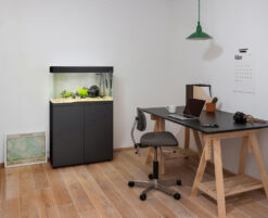 Alternative view of SCHRANK OPTISET SCHWARZ