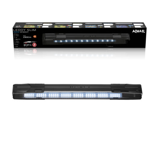LEDDY SLIM MARINE NOIR 2.0 32W
