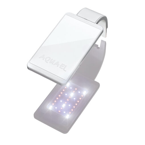LEDDY SMART PFLANZE D&N WEISS 4.8W
