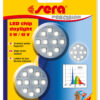 sera LED chip daylight 2W / 12V