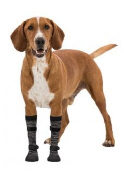 Pfotenschutz Walker Socks, L-XL, 2 St., schwarz/grau