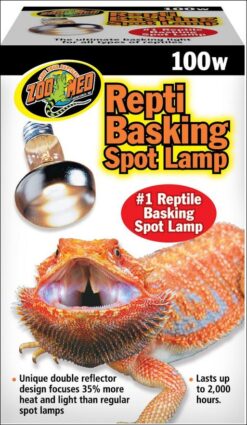 Repti Basking Spot lumière