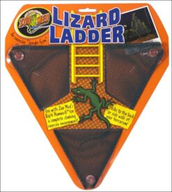 Escalier p. lèzard